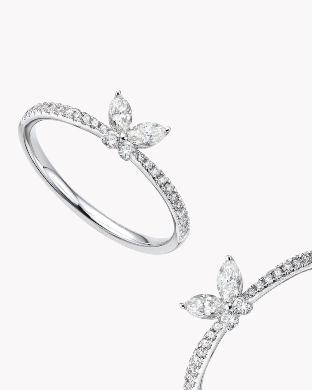 Celestial Butterfly