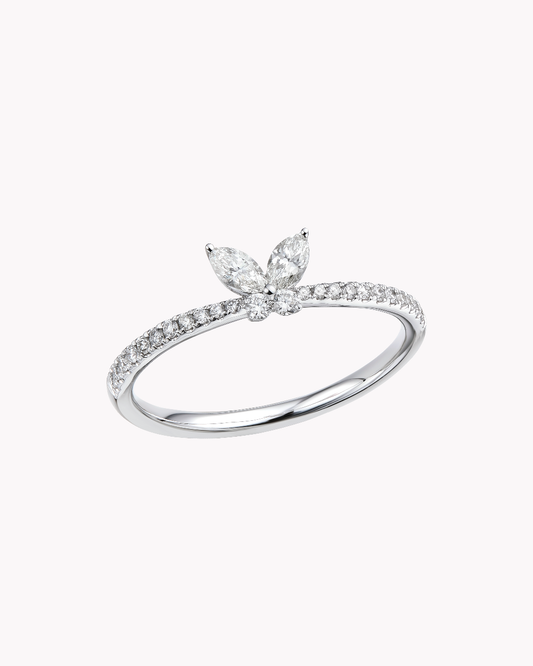 Celestial Butterfly